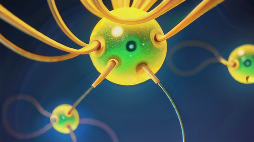 精原細胞の精子への分化