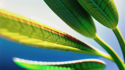 バイオ燃料の課題