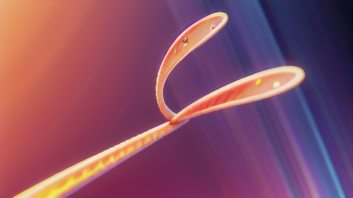 精子発生における役割