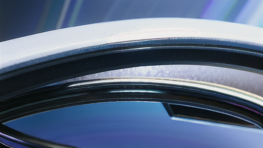 地域的な温暖化予測への応用